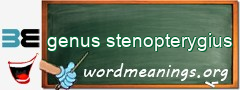 WordMeaning blackboard for genus stenopterygius